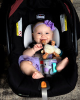 IMG_8653 - Copy