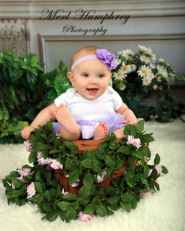 IMG_8604 - Copy