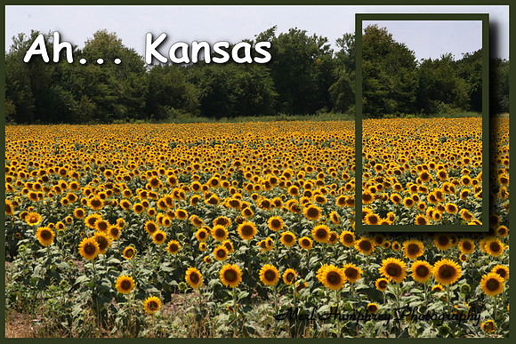 dAh  Kansas