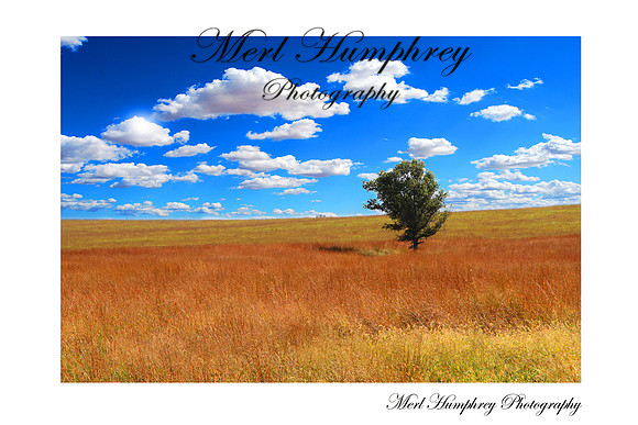 IMG_8383 copy 2