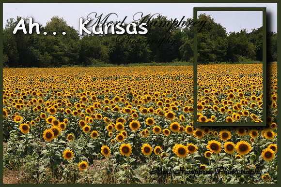 Ah Kansas