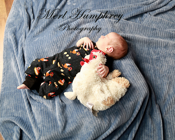 IMG_0004 - Copy
